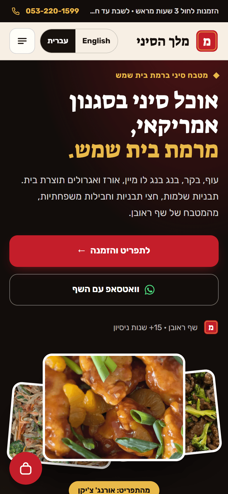 Design 1: Melech HaSini